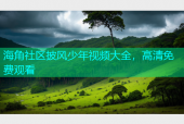 海角社区披风少年视频大全，高清免费观看