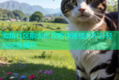 海角社区刷金币攻略快速提升积分轻松兑换福利