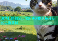 海角社区刷金币攻略快速提升积分轻松兑换福利