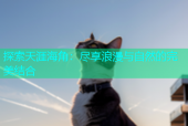 探索天涯海角：尽享浪漫与自然的完美结合