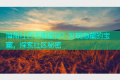 海角社区去哪里找？发现隐藏的宝藏，探索社区秘密