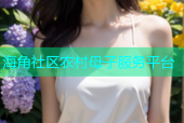海角社区农村母子服务平台