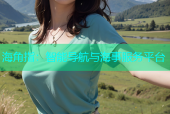 海角指：智能导航与海事服务平台