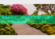 海角社区ID：解码你的专属社交通行证，探索无限可能