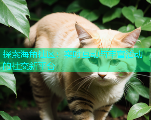 探索海角社区：实时互动与丰富活动的社交新平台  第2张
