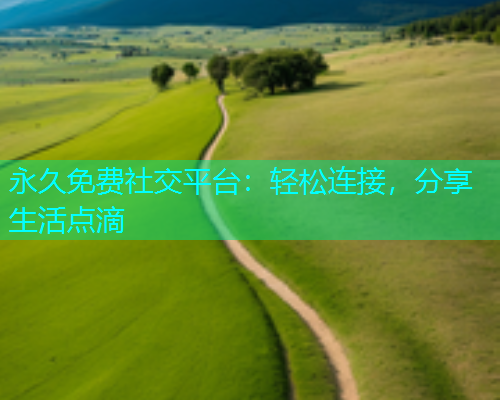 永久免费社交平台：轻松连接，分享生活点滴  第1张