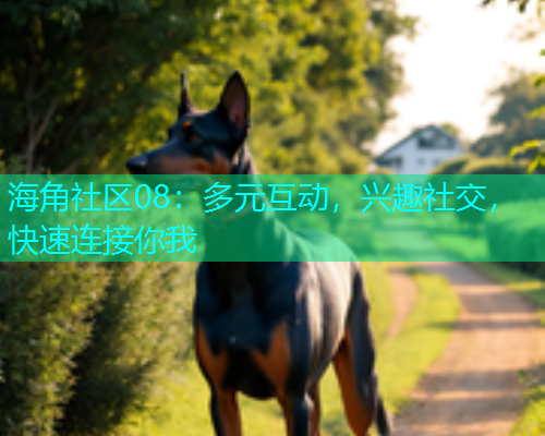 海角社区08：多元互动，兴趣社交，快速连接你我  第2张