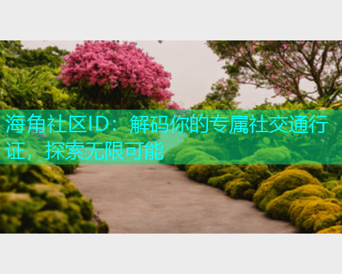 海角社区ID：解码你的专属社交通行证，探索无限可能  第1张