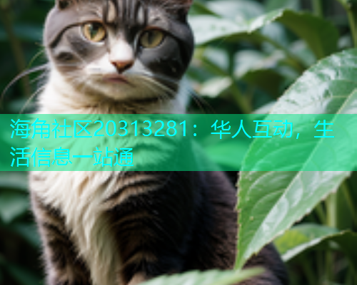 海角社区20313281：华人互动，生活信息一站通  第1张