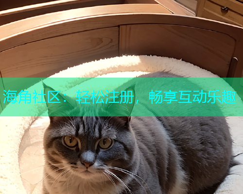 海角社区：轻松注册，畅享互动乐趣  第1张