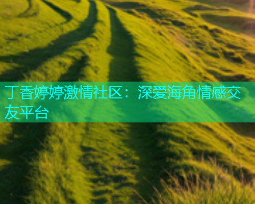 丁香婷婷激情社区：深爱海角情感交友平台  第1张