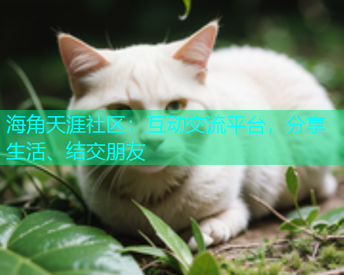 海角天涯社区：互动交流平台，分享生活、结交朋友  第2张