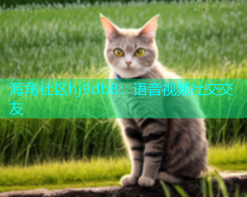 海角社区hj9db8：语音视频社交交友  第2张