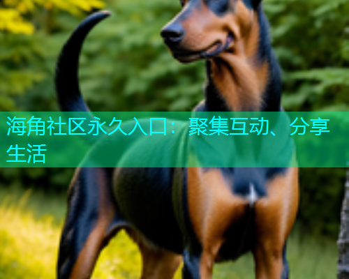 海角社区永久入口：聚集互动、分享生活  第1张