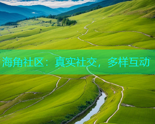 海角社区：真实社交，多样互动  第1张