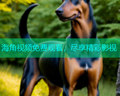 海角视频免费观看，尽享精彩影视  第1张