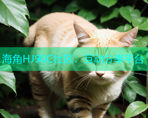 海角HJ90C社区：互动分享平台  第1张