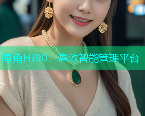 海角HJ90：高效智能管理平台  第1张