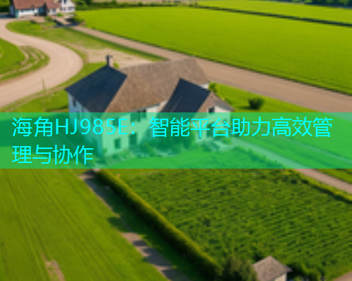 海角HJ985E：智能平台助力高效管理与协作  第1张