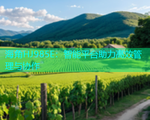 海角HJ985E：智能平台助力高效管理与协作  第2张