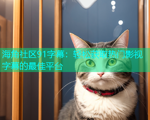 海角社区91字幕：轻松获取热门影视字幕的最佳平台  第1张