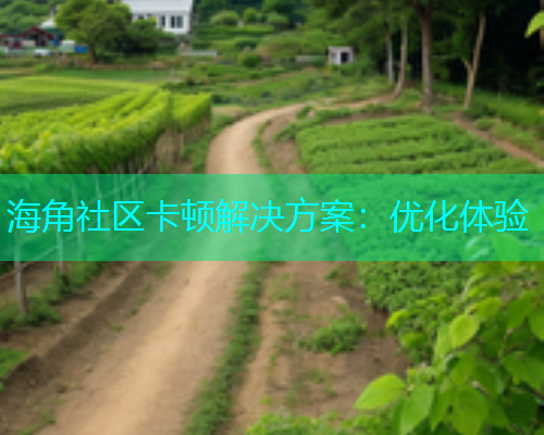海角社区卡顿解决方案：优化体验  第1张