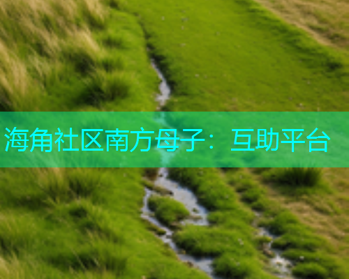 海角社区南方母子：互助平台  第1张