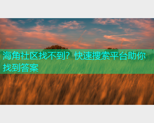 海角社区找不到？快速搜索平台助你找到答案  第1张
