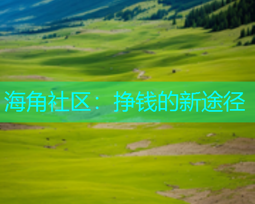海角社区：挣钱的新途径  第2张