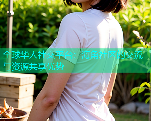 全球华人社交平台：海角社区的交流与资源共享优势  第1张