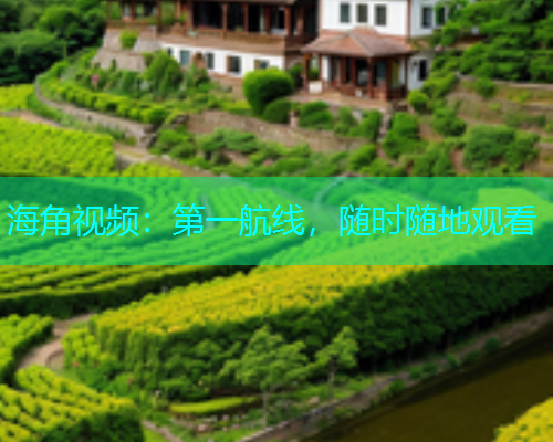 海角视频：第一航线，随时随地观看  第1张