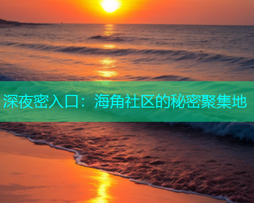 深夜密入口：海角社区的秘密聚集地  第2张