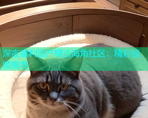 深夜福利国产精选海角社区：精彩视频推荐  第1张
