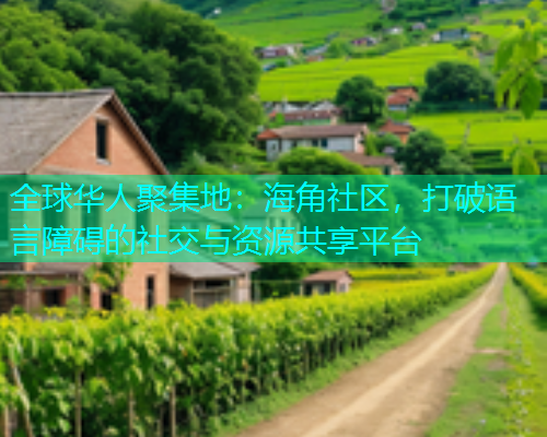 全球华人聚集地：海角社区，打破语言障碍的社交与资源共享平台  第1张