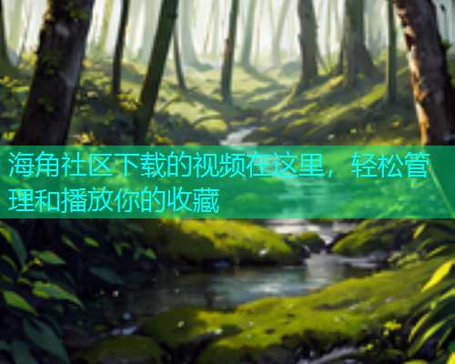 海角社区下载的视频在这里，轻松管理和播放你的收藏  第2张