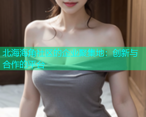 北海海角社区的企业聚集地：创新与合作的平台  第1张