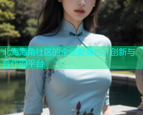 北海海角社区的企业聚集地：创新与合作的平台  第1张