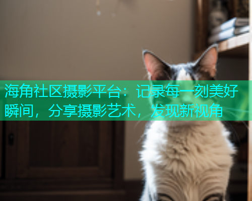 海角社区摄影平台：记录每一刻美好瞬间，分享摄影艺术，发现新视角  第1张