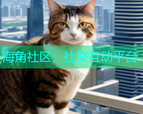 海角社区：社交互动平台  第1张