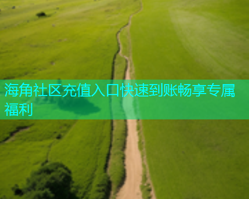 海角社区充值入口快速到账畅享专属福利  第1张