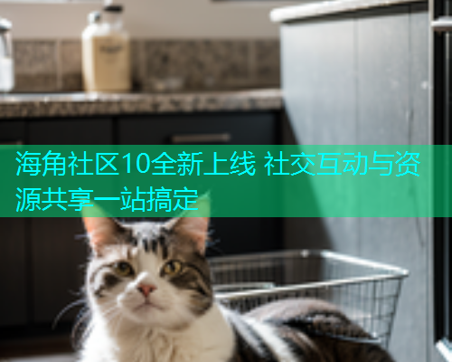 海角社区10全新上线 社交互动与资源共享一站搞定  第1张