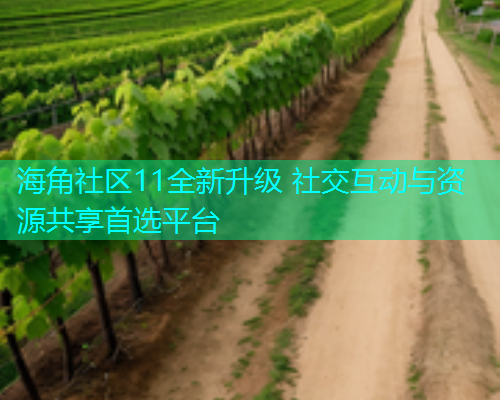 海角社区11全新升级 社交互动与资源共享首选平台  第1张