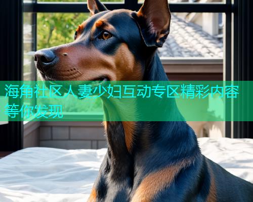 海角社区人妻少妇互动专区精彩内容等你发现  第1张