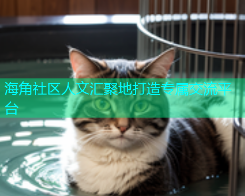 海角社区人文汇聚地打造专属交流平台  第1张