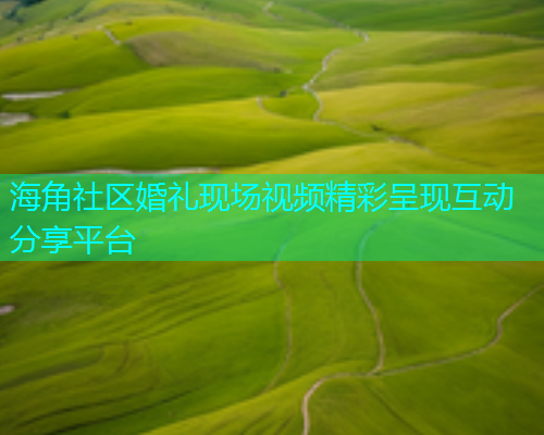海角社区婚礼现场视频精彩呈现互动分享平台  第1张